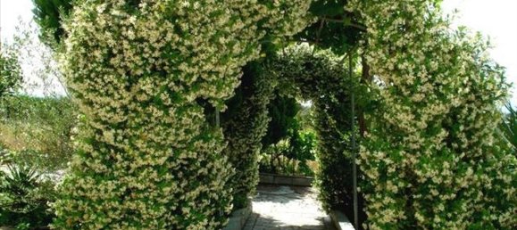 2 غرف نوم عقار تجاري في Thermi, Greece رقم 5694 7