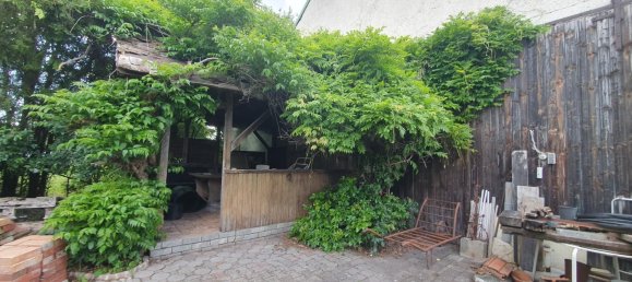  Land in Frauenkirchen, Austria No. 137488 4