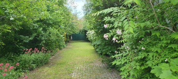  Land in Frauenkirchen, Austria No. 137488 12