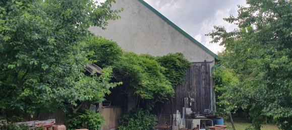  Land in Frauenkirchen, Austria No. 137488 3