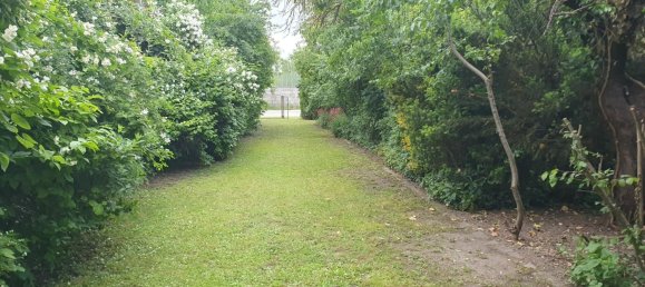  Land in Frauenkirchen, Austria No. 137488 11