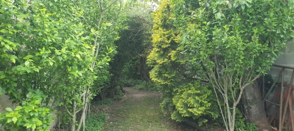  Land in Frauenkirchen, Austria No. 137488 6