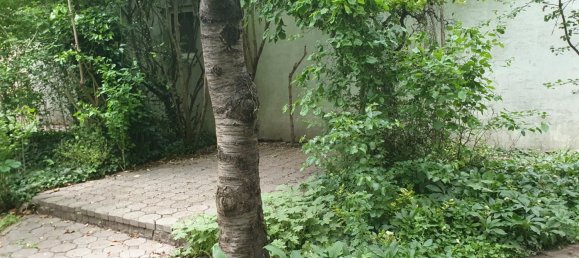  Land in Frauenkirchen, Austria No. 137488 8