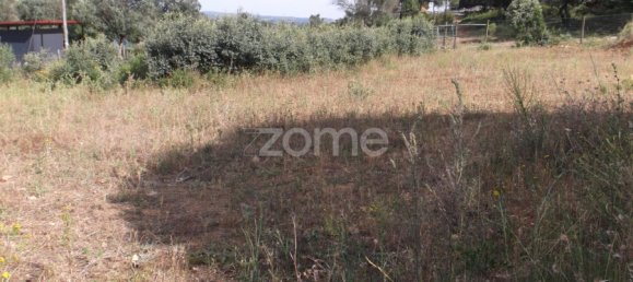  Land in Tomar, Portugal No. 64702 4