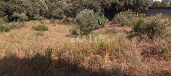  Land in Tomar, Portugal No. 64702 7