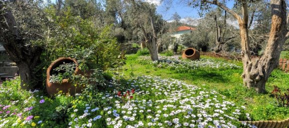 Property in Lesbos, Greece 1170m², Nr. 5142 11