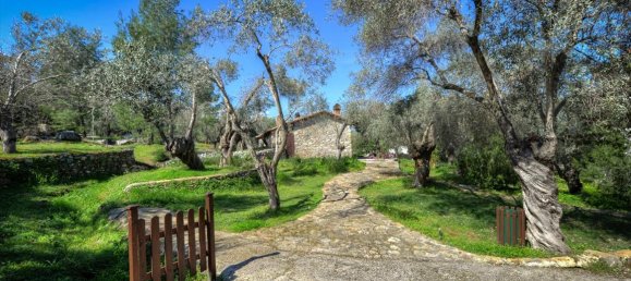 Property in Lesbos, Greece 1170m², Nr. 5142 19