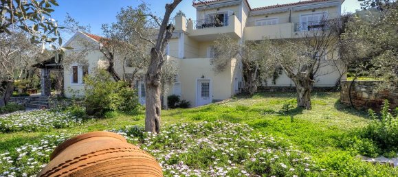Property in Lesbos, Greece 1170m², Nr. 5142 14