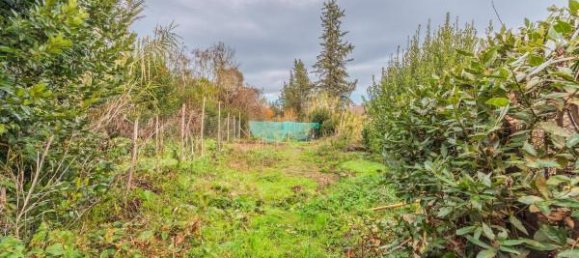 6 rooms House in San Miniato, Italy No. 151620 12