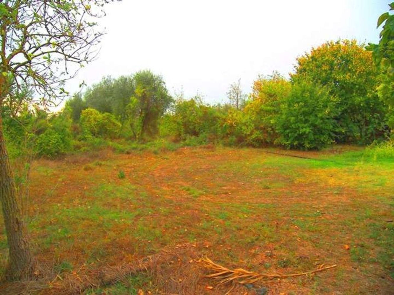 3غرفة منزل في Cortona, Italy رقم 63195