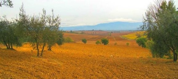 3غرفة منزل في Cortona, Italy رقم 63195 6