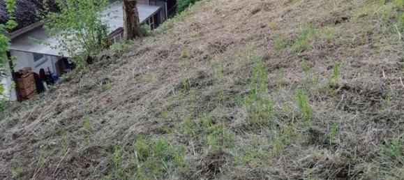 Земельный участок с 5 комнатами в Кальв, Германия № 231236 14