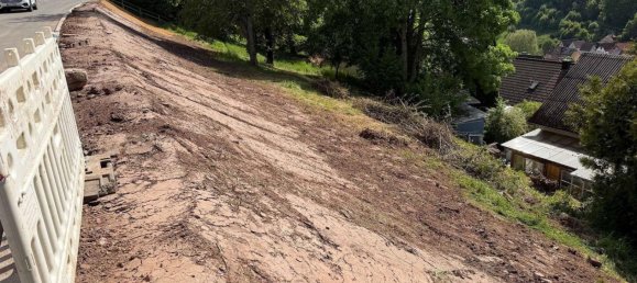 Земельный участок с 5 комнатами в Кальв, Германия № 231236 9