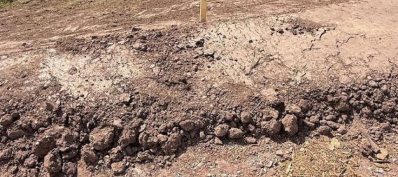 Земельный участок с 5 комнатами в Кальв, Германия № 231236 10