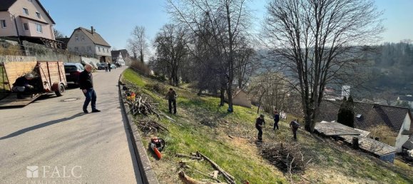 Земельный участок с 5 комнатами в Кальв, Германия № 231236 2