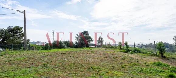 3 Schlafzimmer Haus in Cascais, Portugal, Nr. 126286 37