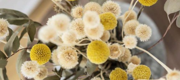 Квартира с 2 комнатами в Целендорф, Германия № 46125 10