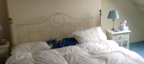 Imóvel comercial T5 em La Trinite-Porhoet, France N.º 1848 9