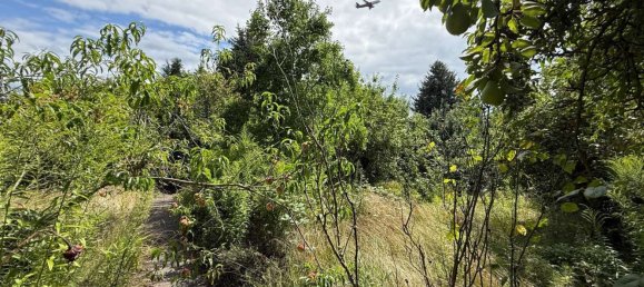  Land in Bohnsdorf, Germany No. 305777 7