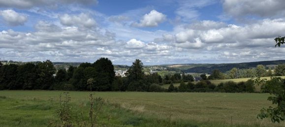 2 bedrooms Townhouse in Vogtlandkreis, Germany No. 292333 7