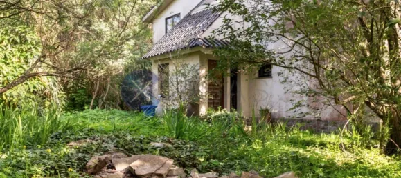 6 bedrooms House in Cascais, Portugal No. 119929 3