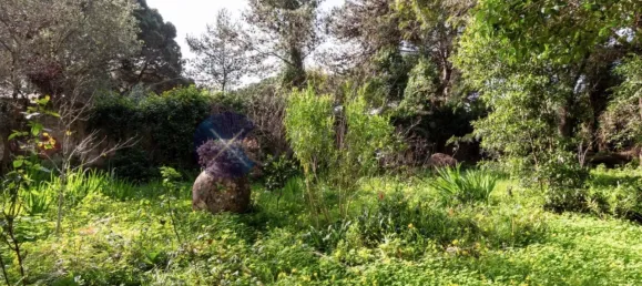 6 bedrooms House in Cascais, Portugal No. 119929 12