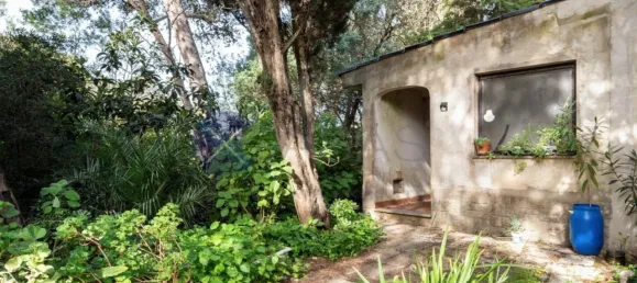 6 bedrooms House in Cascais, Portugal No. 119929 14