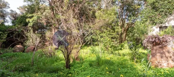 6 bedrooms House in Cascais, Portugal No. 119929 13