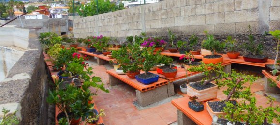 Casa de 4 dormitorios en Arafo, Spain No. 40499 21