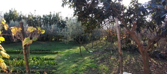 3-salle Maison à Poggiomarino, Italy No. 30349 13