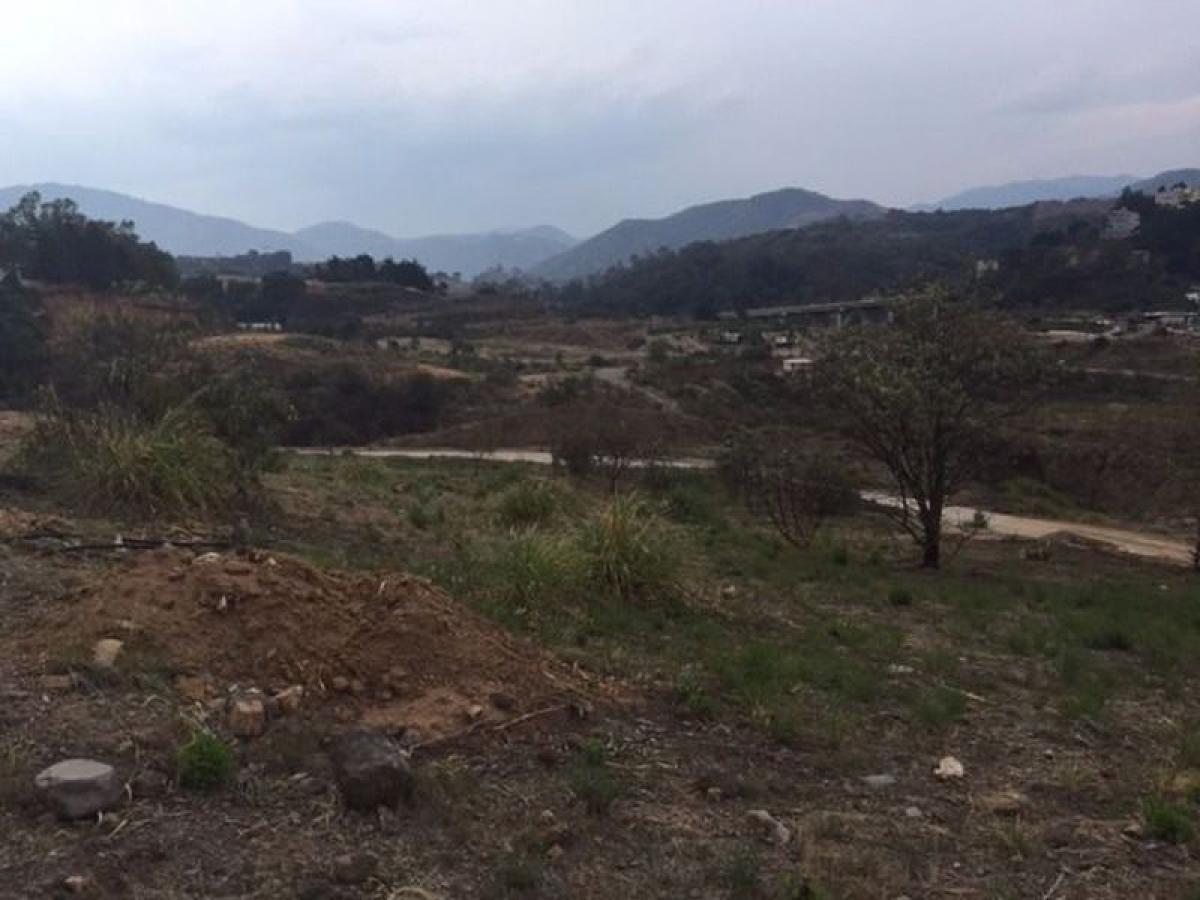  Land in Mexico No. 205719