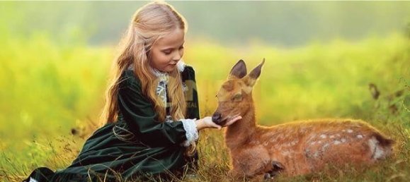 Wohnung 1+1 in Istanbul, Turkey, Nr. 11979 3