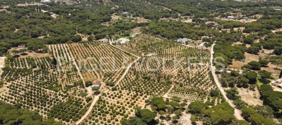 Terreno en Almancil, Portugal No. 145348 20