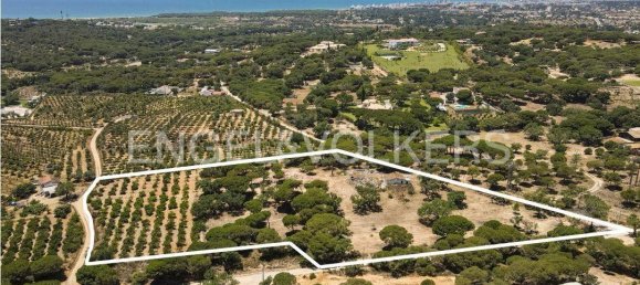 Terreno en Almancil, Portugal No. 145348 18