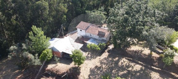 1 bedroom House in Marco de Canaveses, Portugal No. 13255 19