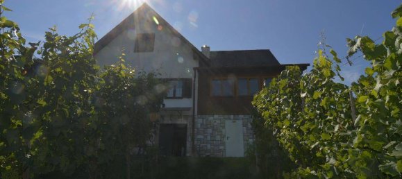 Земельный участок 8878м² в Фюрстенфельд, Австрия № 247223 2