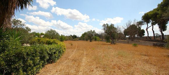 1 bedroom House in Matino, Italy No. 297960 6