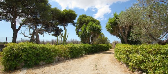 1 bedroom House in Matino, Italy No. 297960 33