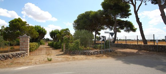 1 bedroom House in Matino, Italy No. 297960 4