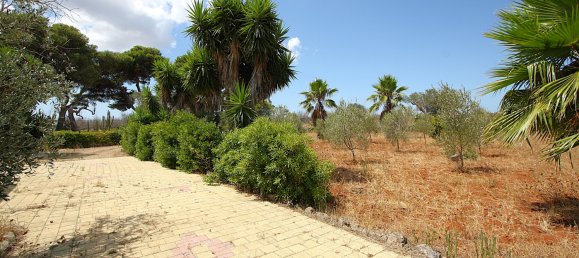 1 bedroom House in Matino, Italy No. 297960 26