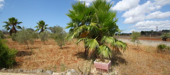 1 bedroom House in Matino, Italy No. 297960 25