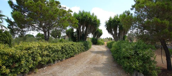 1 bedroom House in Matino, Italy No. 297960 5