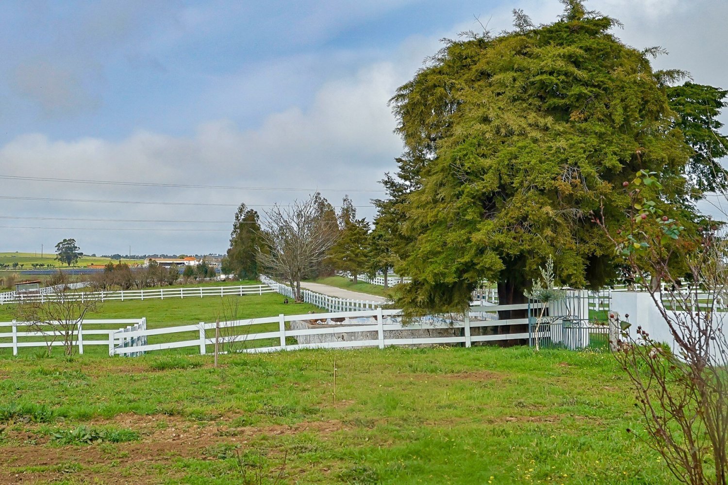 5 bedrooms Castles in Evora, Portugal No. 208988