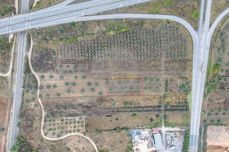 Almacén en Coimbra, Portugal 700 m² No. 17310