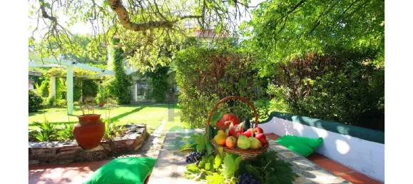 Замки и поместья с 11 спальнями в Orjais, Португалия № 170265 13