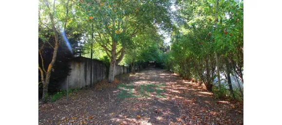 Замки и поместья с 11 спальнями в Orjais, Португалия № 170265 2