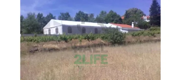 Замки и поместья с 11 спальнями в Orjais, Португалия № 170265 7