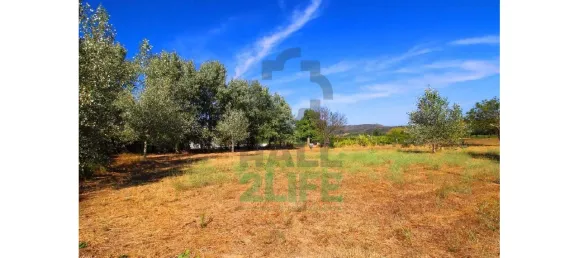 Замки и поместья с 11 спальнями в Orjais, Португалия № 170265 5