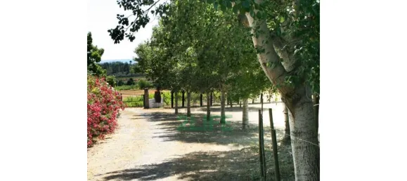 Замки и поместья с 11 спальнями в Orjais, Португалия № 170265 6