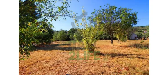 Замки и поместья с 11 спальнями в Orjais, Португалия № 170265 4